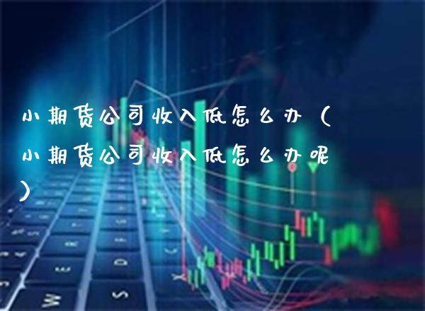小期货公司收入低怎么办（小期货公司收入低怎么办呢） (https://www.njaxzs.com/) 黄金期货 第1张