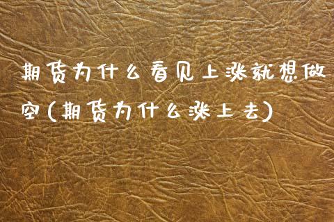 期货为什么看见上涨就想做空(期货为什么涨上去) (https://www.njaxzs.com/) 期货开户 第1张