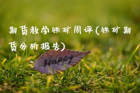 期货教学铁矿周评(铁矿期货分析报告) (https://www.njaxzs.com/) 期货开户 第1张