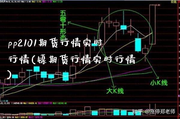 pp2101期货行情实时行情(镍期货行情实时行情) (https://www.njaxzs.com/) 内盘期货 第1张