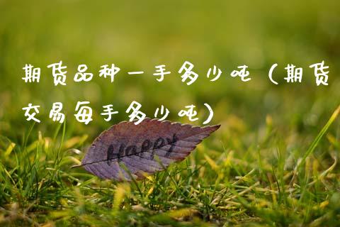 期货品种一手多少（期货交易每手多少） (https://www.njaxzs.com/) 内盘期货 第1张