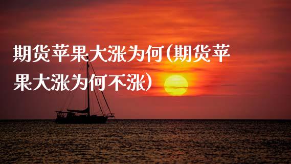 期货苹果大涨为何(期货苹果大涨为何不涨) (https://www.njaxzs.com/) 期货直播间 第1张