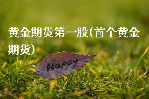 黄金期货第一股(首个黄金期货) (https://www.njaxzs.com/) 期货行情 第1张