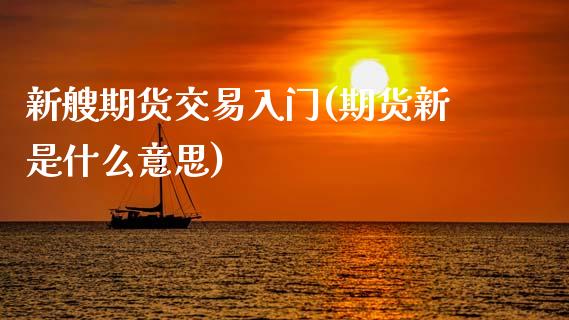 新艘期货交易入门(期货新是什么意思) (https://www.njaxzs.com/) 期货直播间 第1张