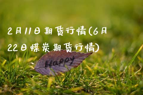 2月11日期货行情(6月22日煤炭期货行情) (https://www.njaxzs.com/) 原油期货 第1张