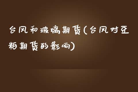 台风和玻璃期货(台风对豆粕期货的影响) (https://www.njaxzs.com/) 期货投资 第1张