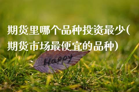 期货里哪个品种投资最少(期货市场最便宜的品种) (https://www.njaxzs.com/) 期货行情 第1张