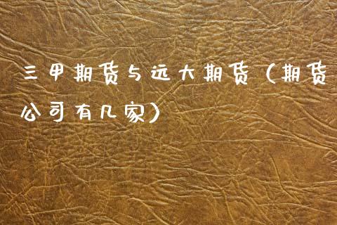 三甲期货与远大期货（期货公司有几家） (https://www.njaxzs.com/) 期货行情 第1张