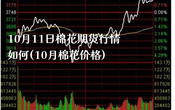 10月11日棉花期货行情如何(10月棉花价格) (https://www.njaxzs.com/) 黄金期货 第1张