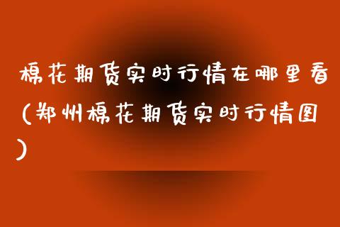 棉花期货实时行情在哪里看(郑州棉花期货实时行情图) (https://www.njaxzs.com/) 黄金期货 第1张