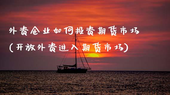 外资企业如何投资期货市场(开放外资进入期货市场) (https://www.njaxzs.com/) 期货行情 第1张
