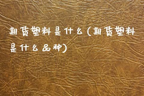 期货塑料是什么(期货塑料是什么品种) (https://www.njaxzs.com/) 期货投资 第1张