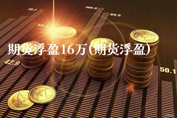 期货浮盈16万(期货浮盈) (https://www.njaxzs.com/) 期货行情 第1张