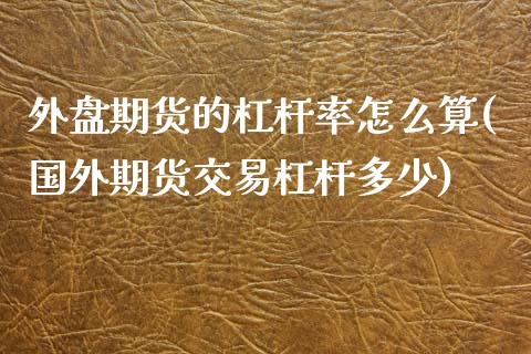 外盘期货的杠杆率怎么算(国外期货交易杠杆多少) (https://www.njaxzs.com/) 期货投资 第1张