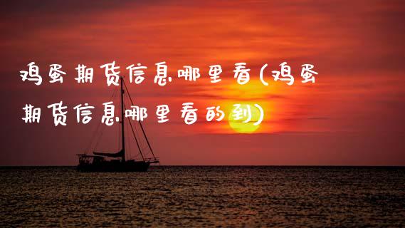 鸡蛋期货信息哪里看(鸡蛋期货信息哪里看的到) (https://www.njaxzs.com/) 期货行情 第1张