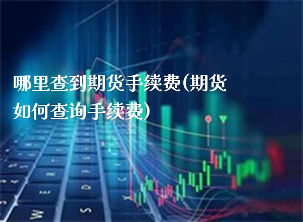 哪里查到期货手续费(期货如何查询手续费) (https://www.njaxzs.com/) 期货直播间 第1张