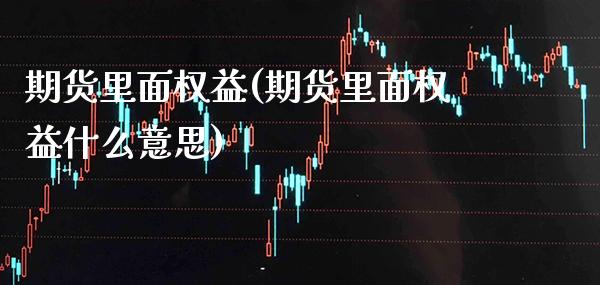 期货里面权益(期货里面权益什么意思) (https://www.njaxzs.com/) 期货直播间 第1张