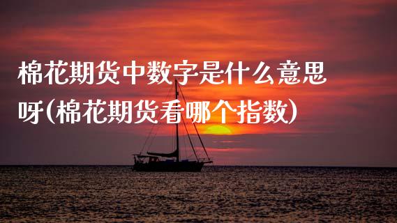 棉花期货中数字是什么意思呀(棉花期货看哪个指数) (https://www.njaxzs.com/) 内盘期货 第1张