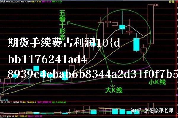 期货手续费占利润10（期货手续费几倍） (https://www.njaxzs.com/) 期货直播间 第1张