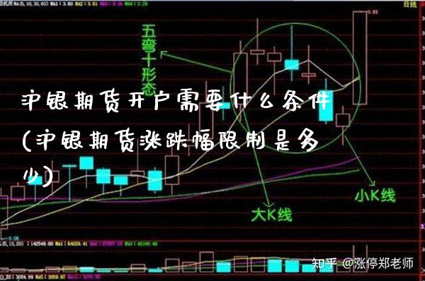 沪银期货开户需要什么条件(沪银期货涨跌幅限制是多少) (https://www.njaxzs.com/) 原油期货 第1张