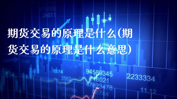 期货交易的原理是什么(期货交易的原理是什么意思) (https://www.njaxzs.com/) 期货行情 第1张