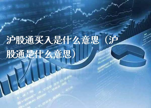 沪股通买入是什么意思（沪股通是什么意思） (https://www.njaxzs.com/) 期货直播间 第1张