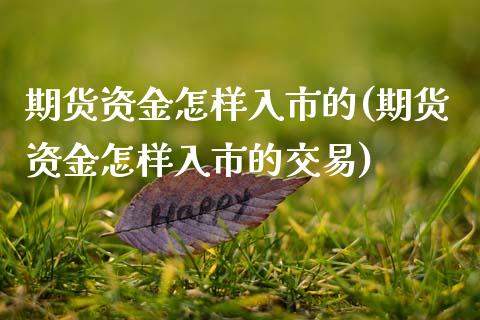 期货资金怎样入市的(期货资金怎样入市的交易) (https://www.njaxzs.com/) 黄金期货 第1张