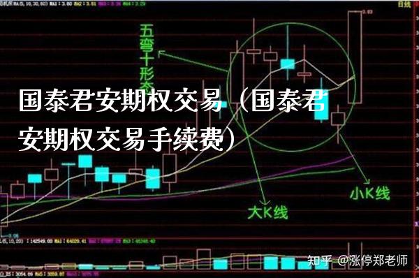国泰君安期权交易（国泰君安期权交易手续费） (https://www.njaxzs.com/) 内盘期货 第1张