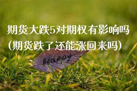 期货大跌5对期权有影响吗(期货跌了还能涨回来吗) (https://www.njaxzs.com/) 内盘期货 第1张