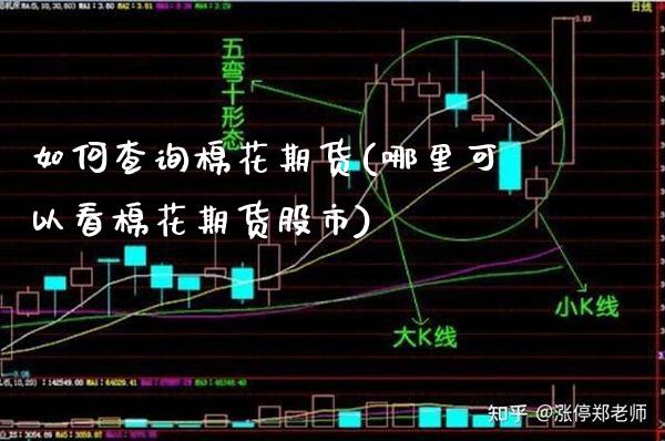 如何查询棉花期货(哪里可以看棉花期货股市) (https://www.njaxzs.com/) 期货投资 第1张