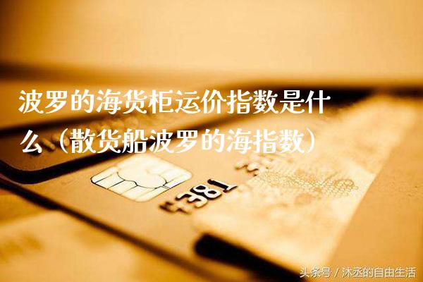 波罗的海货柜运价指数是什么（散货船波罗的海指数） (https://www.njaxzs.com/) 内盘期货 第1张
