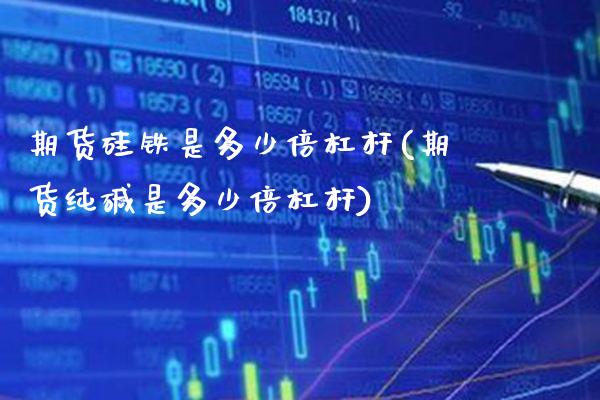 期货硅铁是多少倍杠杆(期货纯碱是多少倍杠杆) (https://www.njaxzs.com/) 期货直播间 第1张