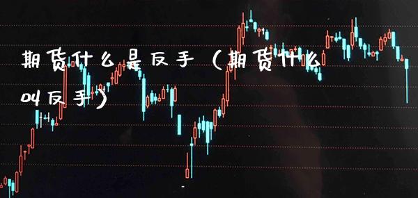 期货什么是反手（期货什么叫反手） (https://www.njaxzs.com/) 内盘期货 第1张