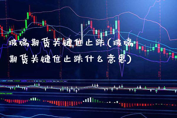 玻璃期货关键位止跌(玻璃期货关键位止跌什么意思) (https://www.njaxzs.com/) 黄金期货 第1张