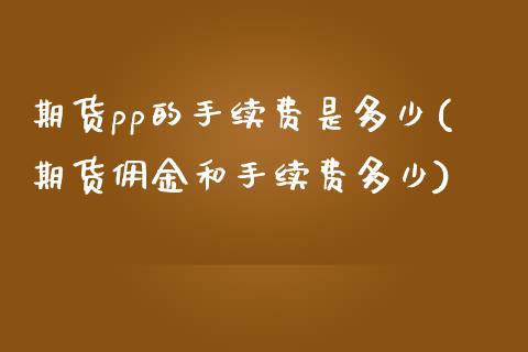 期货pp的手续费是多少(期货佣金和手续费多少) (https://www.njaxzs.com/) 期货直播间 第1张