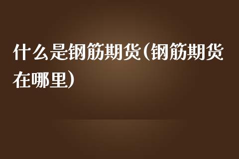 什么是钢筋期货(钢筋期货在哪里) (https://www.njaxzs.com/) 原油期货 第1张
