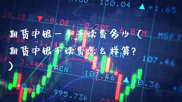 期货沪银一手手续费多少(期货沪银手续费怎么样算?) 内盘期货 第1张-爱新财经 期货沪银一手手续费多少(期货沪银手续费怎么样算?) (https://www.njaxzs.com/) 内盘期货 第1张