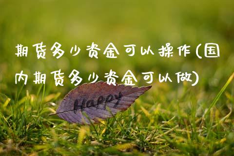 期货多少资金可以操作(国内期货多少资金可以做) (https://www.njaxzs.com/) 黄金期货 第1张