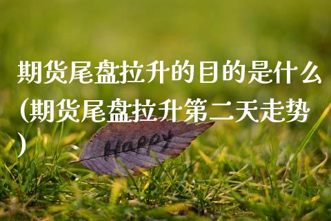 期货尾盘拉升的目的是什么(期货尾盘拉升第二天走势) (https://www.njaxzs.com/) 期货行情 第1张