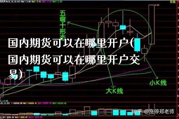 国内期货可以在哪里开户(国内期货可以在哪里开户交易) (https://www.njaxzs.com/) 期货直播间 第1张