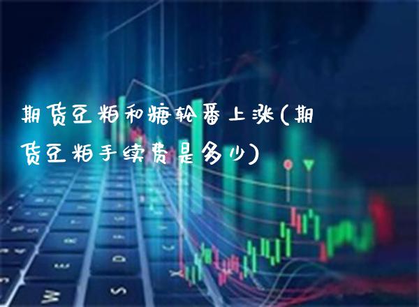 期货豆粕和糖轮番上涨(期货豆粕手续费是多少) (https://www.njaxzs.com/) 期货投资 第1张