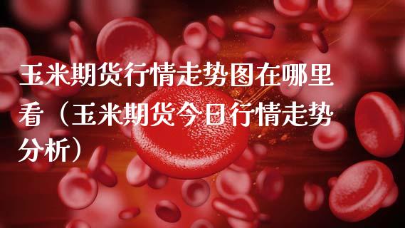 玉米期货行情走势图在哪里看（玉米期货今日行情走势分析） (https://www.njaxzs.com/) 内盘期货 第1张