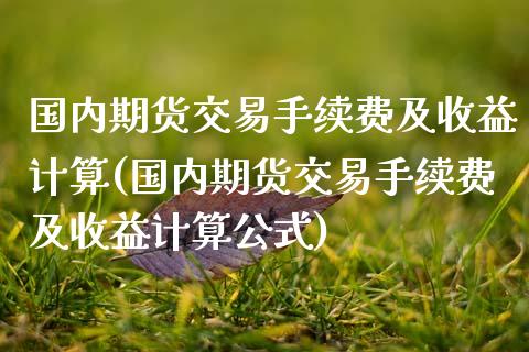 国内期货交易手续费及收益计算(国内期货交易手续费及收益计算公式) (https://www.njaxzs.com/) 黄金期货 第1张