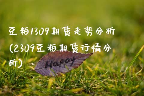 豆粕1309期货走势分析(2309豆粕期货行情分析) (https://www.njaxzs.com/) 期货行情 第1张