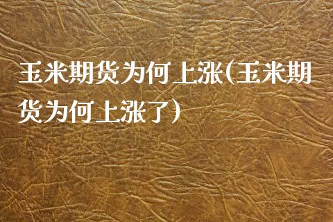 玉米期货为何上涨(玉米期货为何上涨了) (https://www.njaxzs.com/) 期货直播间 第1张