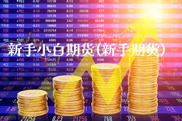 新手小白期货(新手期货) (https://www.njaxzs.com/) 内盘期货 第1张