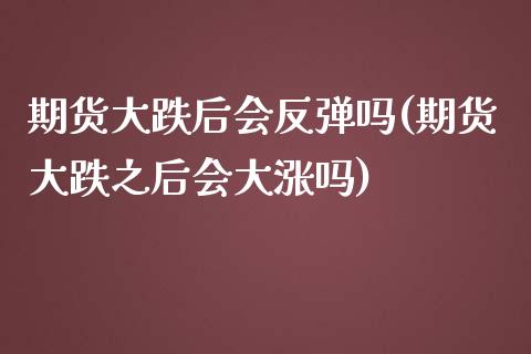 期货大跌后会反弹吗(期货大跌之后会大涨吗) (https://www.njaxzs.com/) 期货投资 第1张