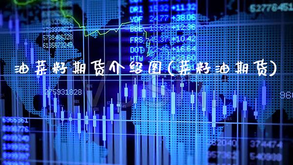 油菜籽期货介绍图(菜籽油期货) (https://www.njaxzs.com/) 黄金期货 第1张