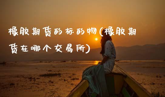 橡胶期货的标的物(橡胶期货在哪个交易所) (https://www.njaxzs.com/) 期货投资 第1张