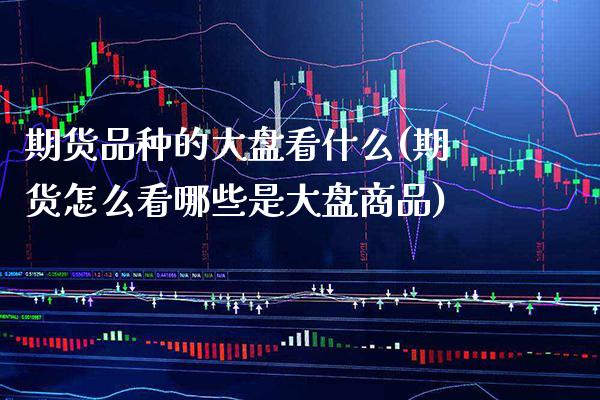 期货品种的大盘看什么(期货怎么看哪些是大盘商品) (https://www.njaxzs.com/) 期货开户 第1张